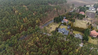 1233 m² spokoju. Las za płotem w Puszczykowie - 2