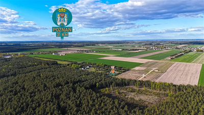 Oaza spokoju pod samym lasem – działka 1463 m² - 4