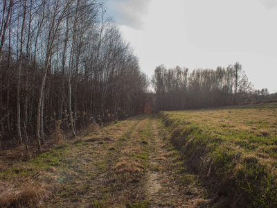 Równy teren leśny 1,06 ha – Łopuszka Wielka - 2