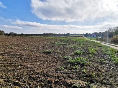 Tutaj jest ściernisko, jutro będzie Twój dom | 21a