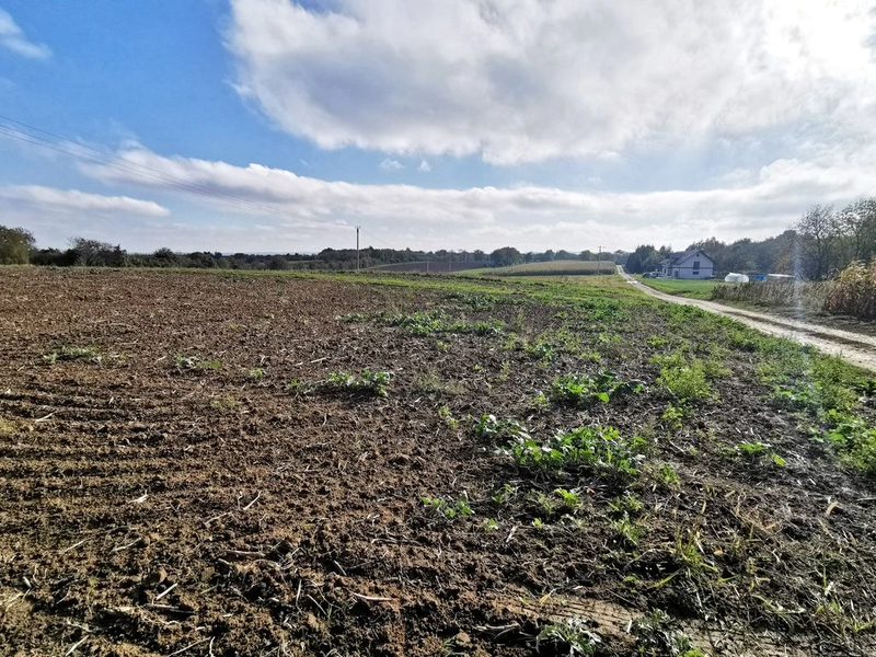 Tutaj jest ściernisko, jutro będzie Twój dom | 21a - 108437433.jpg