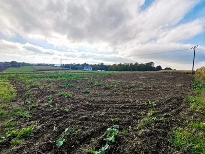 Tutaj jest ściernisko, jutro będzie Twój dom | 21a - 2