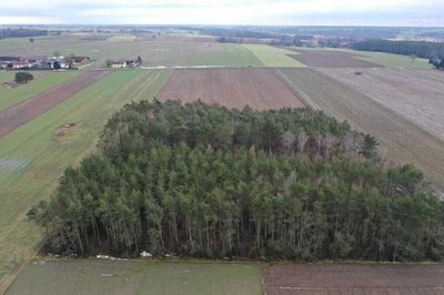 Działka na twoje ranczo w super cenie! - 5