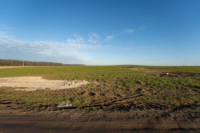 Działka 1355 m² przy lesie - MPZP, Kaźmierz - 5