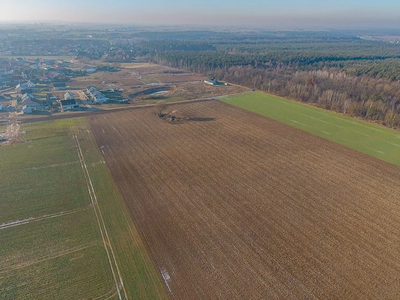 Działka 1355 m² przy lesie - MPZP, Kaźmierz - 2