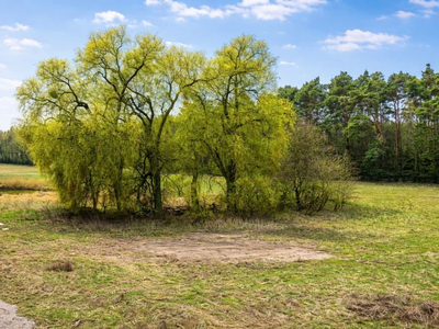 Działka budowlana 3357m2 Porażyn| MPZP| pod lasem - 4