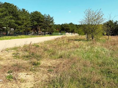 Działka 1038m² MPZP  – Sieraków - kraina jezior - 3