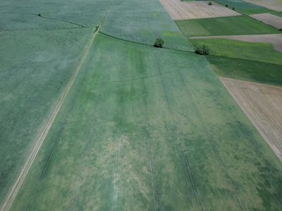 Działki- Jeziora i sześć miast w krótkim zasiegu! - 3