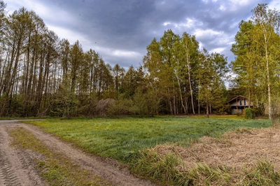 Las, jezioro i Ty - 4