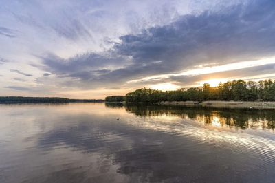 Las, jezioro i Ty - 2