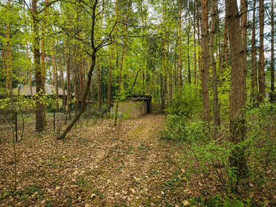 Tu las będzie Twoim sąsiadem|Wizualizacja - 5
