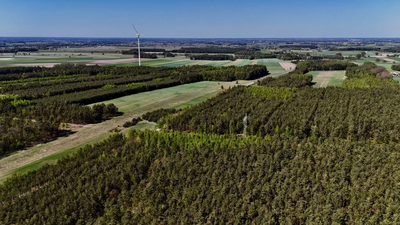 Twoja Oaza pod Łodzią – Działka 1518m2 w Skórce - 4