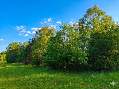 Wyjątkowa enklawa w otulinie Parku Krajobrazowego - 5