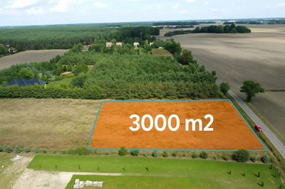 Działka 3000 m2 puszcza zielonka - 2