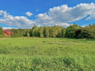 Działka | MPZP | Mieścicka | 1055 m2 | las - 5