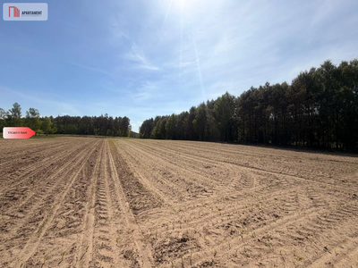 Tylko u nas!4500 m² ciszy i zieleni–Bory Tuchols - 2