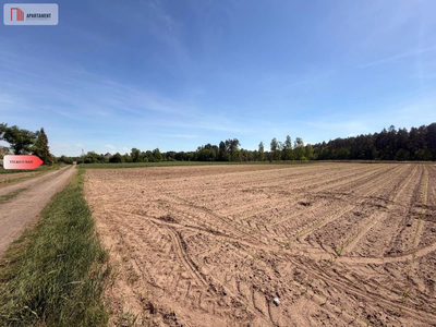 Tylko u nas!4500 m² ciszy i zieleni–Bory Tuchols - 5