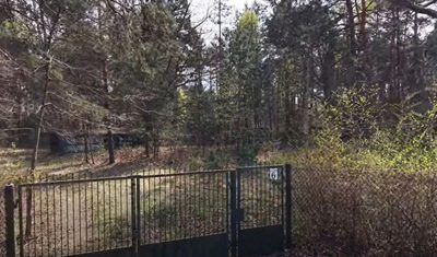 Rosanowów, działka 4126 m² z potencjałem podziału - 4