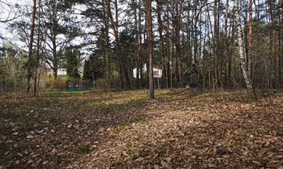 Rosanowów, działka 4126 m² z potencjałem podziału - 5