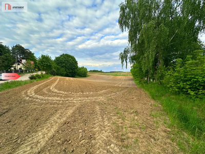 Dwie piękne działki w miejscowości Charzykowy - 4