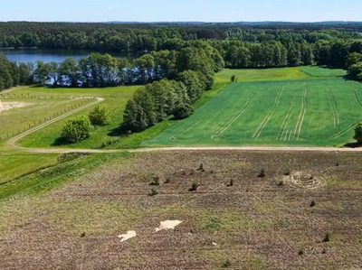 Mierzyn | jezioro - Puszcza Notecka – 1139 m² z WZ - 2