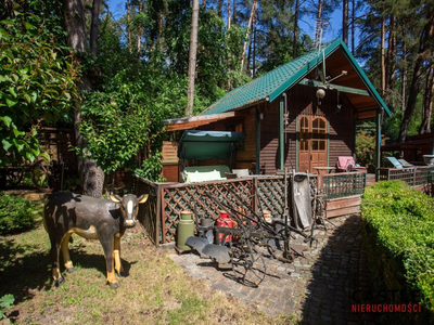 Dom przy lesie | 1221 m² działki | 2 domki - 4