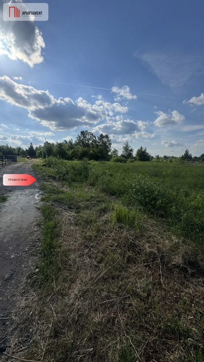 Działka budowlana w Chocianowie - 5