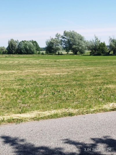Działka rolno-budowlana 3503 m² Albinów Głowno - 5