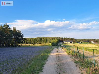 Nowoczesny dom typu stodoła, blisko Bydgoszczy - 4