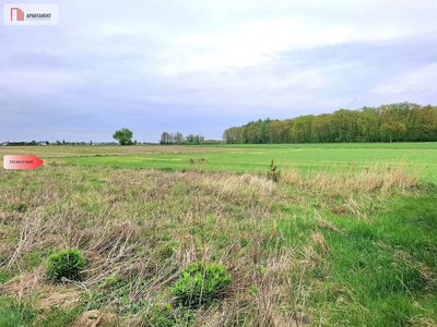 Szczutki 1106m2 malownicze miejsce pola lasy - 5
