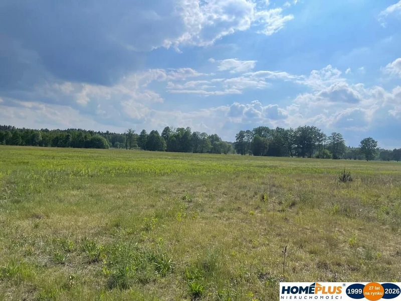8808 m² pod zabudowę jednorodzinną i usługi. - 113053734.jpg