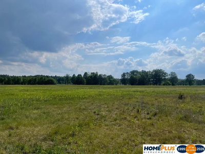 8808 m² pod zabudowę jednorodzinną i usługi. - 2