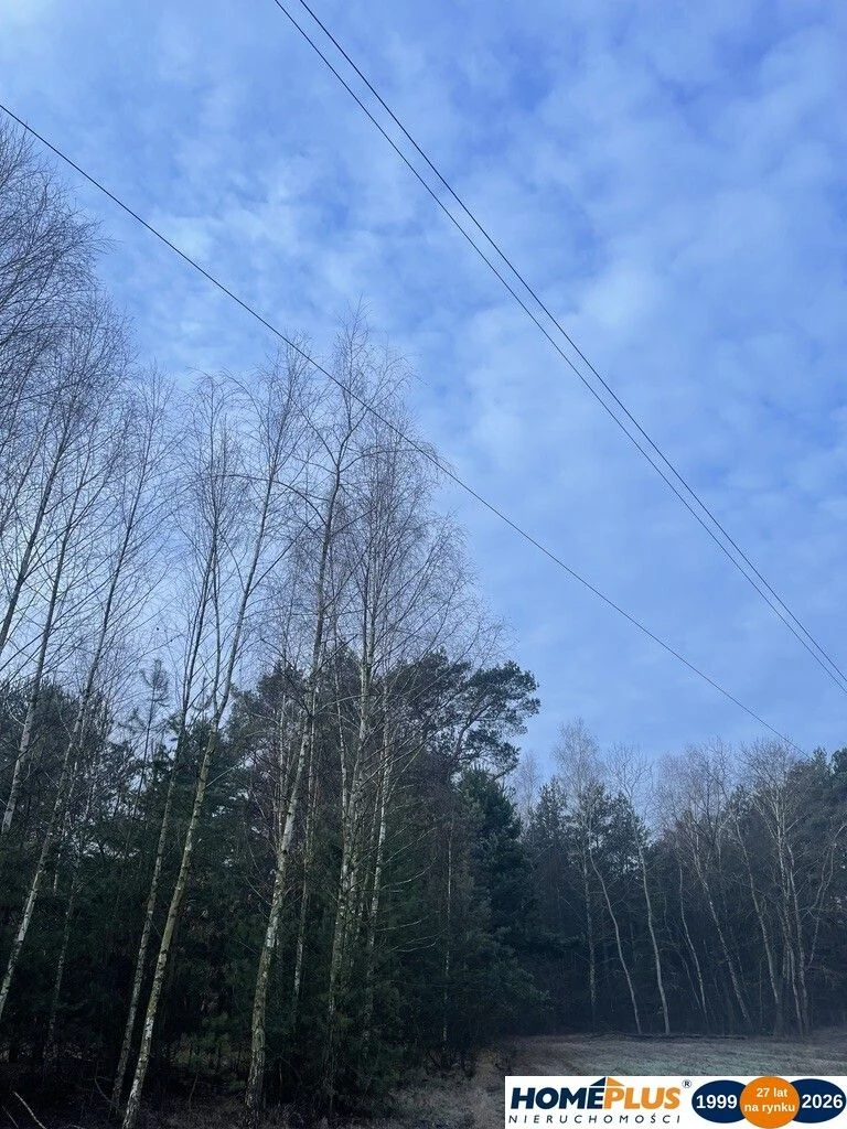Działka 1000 m² pod zabudowę letniskową. - 112977039.jpg