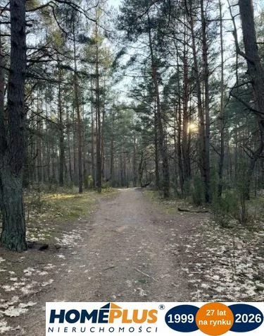 Piękna działka w Dąbrowie Leśnej z pozwoleniem - 2