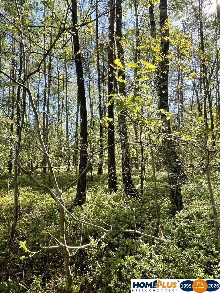 Działki na sprzedaż – Ciemne k. Radzymina - 105552135.jpg