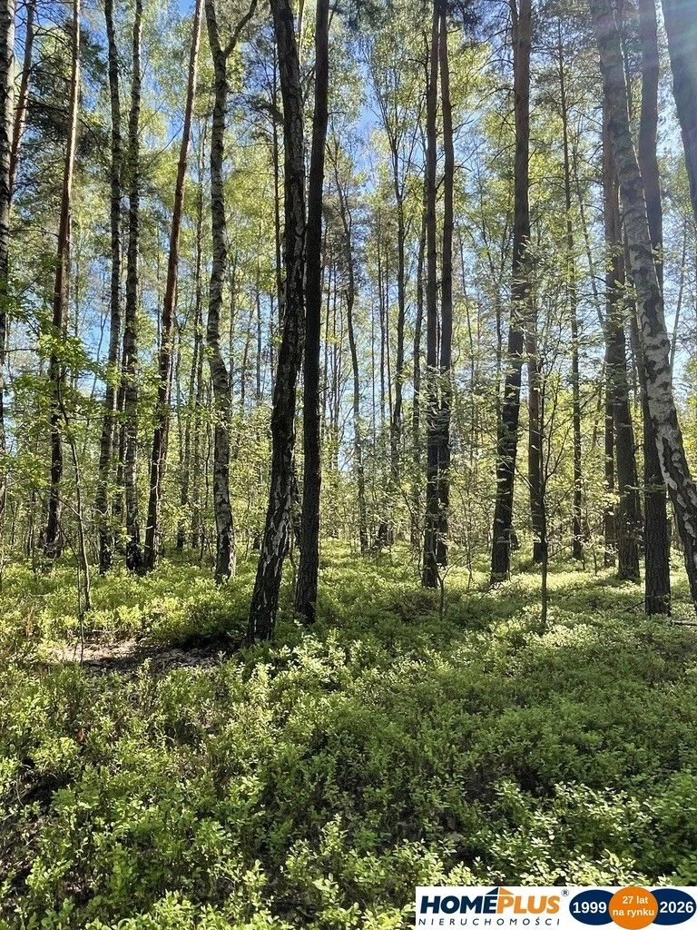 Działki na sprzedaż – Ciemne k. Radzymina - 105552174.jpg