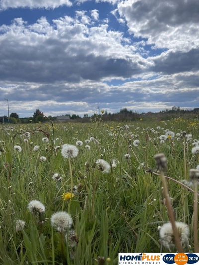 Działka budowlana o powierzchni 18 404 m². - 4