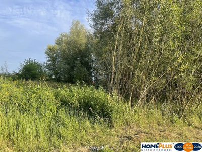 Działka 2,5 ha Dąbrówka, blisko S8, media, MPZP - 3