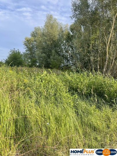 Działka 2,5 ha Dąbrówka, blisko S8, media, MPZP - 4