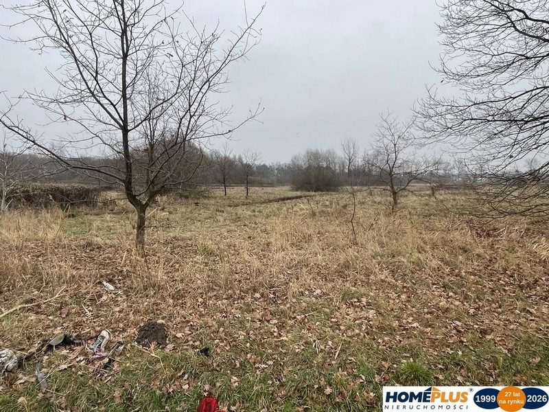 Działka 5979 m² usługi i zabudowa jednorodzinna - 109875618.jpg