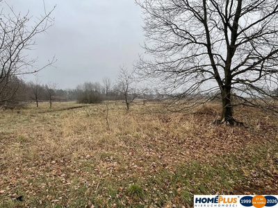 Działka 5979 m² usługi i zabudowa jednorodzinna - 4