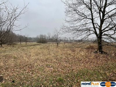 Działka 5979 m² usługi i zabudowa jednorodzinna - 3