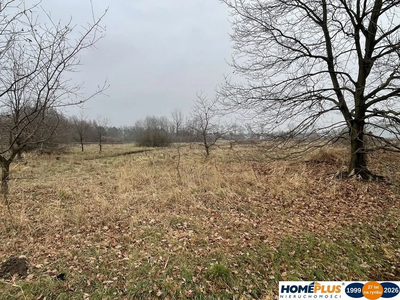 Działka 5979 m² usługi i zabudowa jednorodzinna - 2