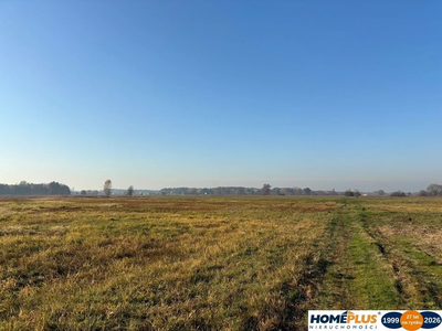 Ziemia rolna 2,71 ha koło Radzymina - 4