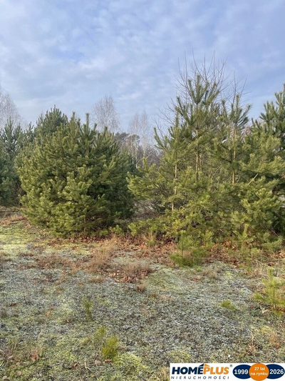 Działka 2050 m² pod zabudowę letniskową. - 5