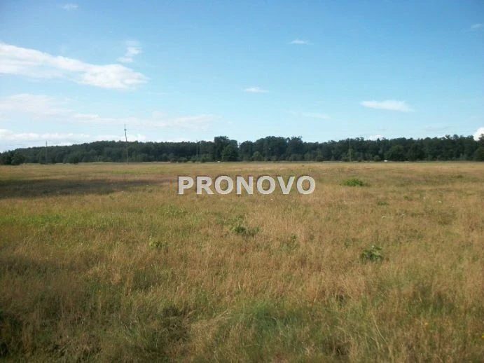 Działki z przeznaczeniem pod zabudowę mieszkaniową o powierzchniach  od 1003m2 do 1175m2 i jedna 3139m2 w   w cenie po 100zł/m2 w Miłowie koło Stepnicy. Działki są płaskie, nie zadrzewione, nie ogrod… - dd_6e65b6aa_zs_PKN-GS-114_1.jpg
