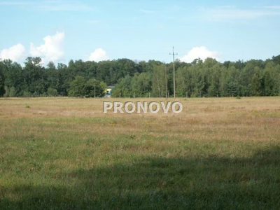 Działki z przeznaczeniem pod zabudowę mieszkaniową o powierzchniach  od 1003m2 do 1175m2 i jedna 3139m2 w   w cenie po 100zł/m2 w Miłowie koło Stepnicy. Działki są płaskie, nie zadrzewione, nie ogrod… - 5