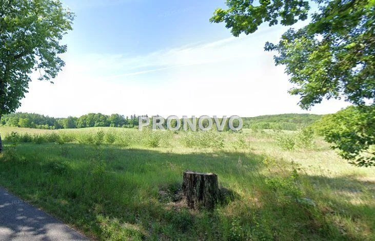 działka rolna 19 ha koło Węgorzyna - dd_6e65b6aa_zs_PKN-GS-1069_1.jpg