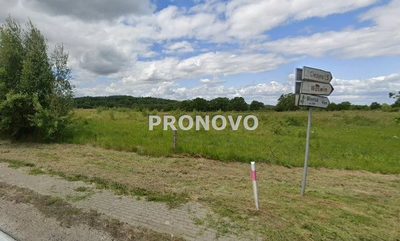 działka rolna 19 ha koło Węgorzyna - 4