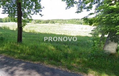 działka rolna 19 ha koło Węgorzyna - 3